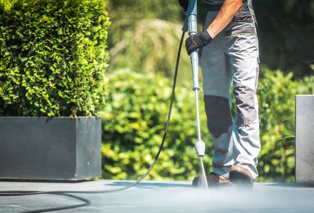 Best Sidewalk and Walkway Cleaning  in Parker, SC